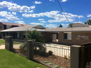 Bottletree Apartments on Garget